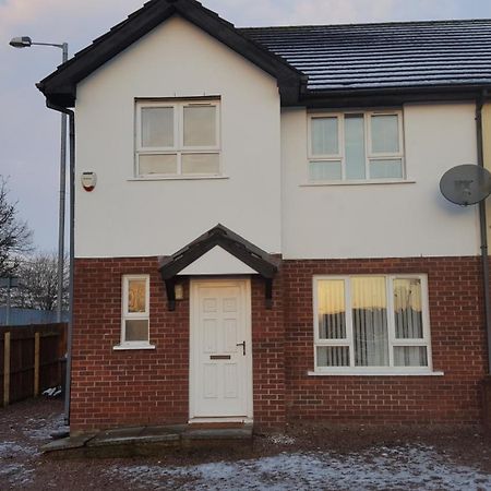 Lawnbrook Town House Hotel Belfast Eksteriør billede